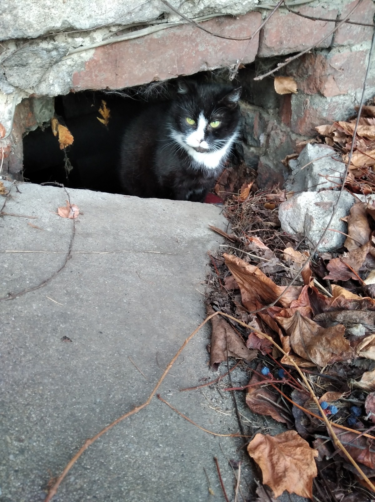 612389bd-0255-42ca-ae4c-6a1c5a88f534