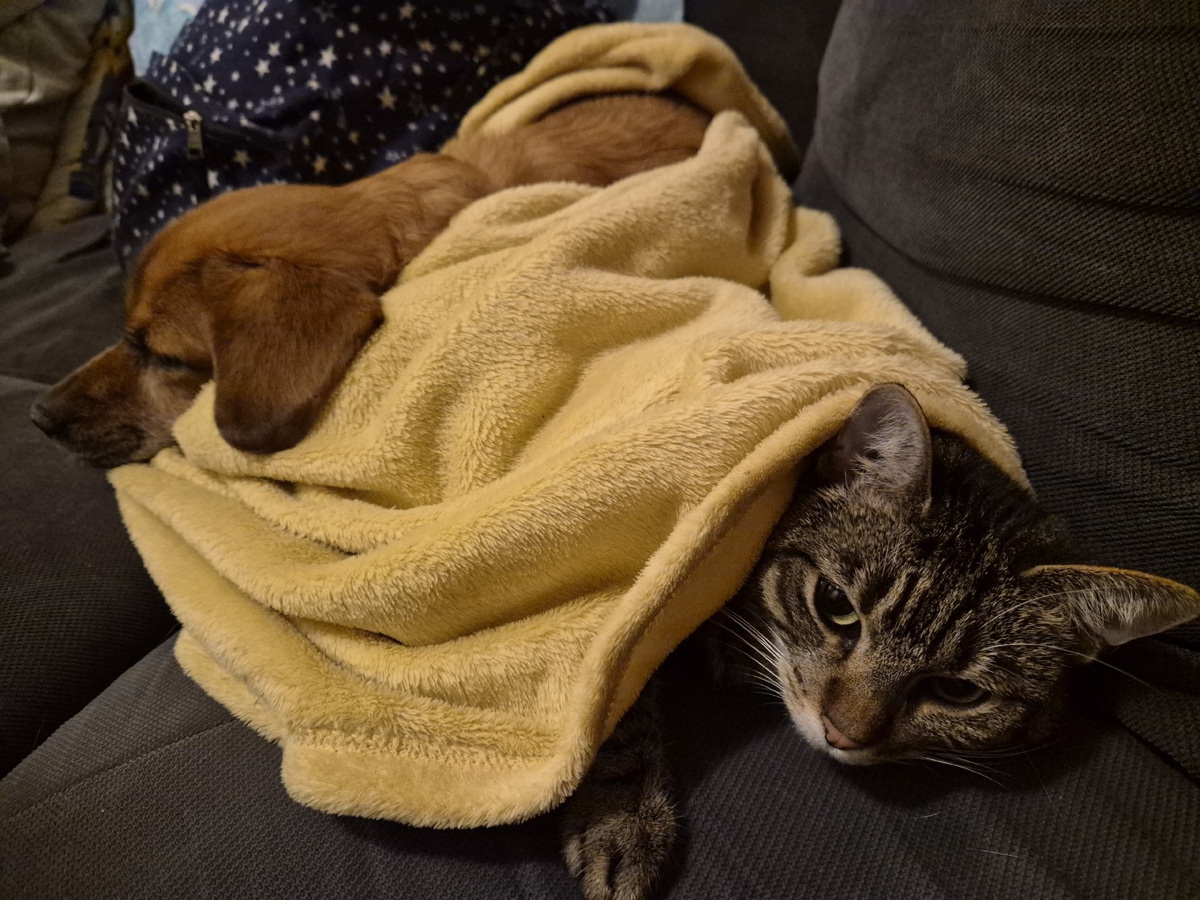 fe2a6ff5-dd3e-4372-ba01-1df3d9832402