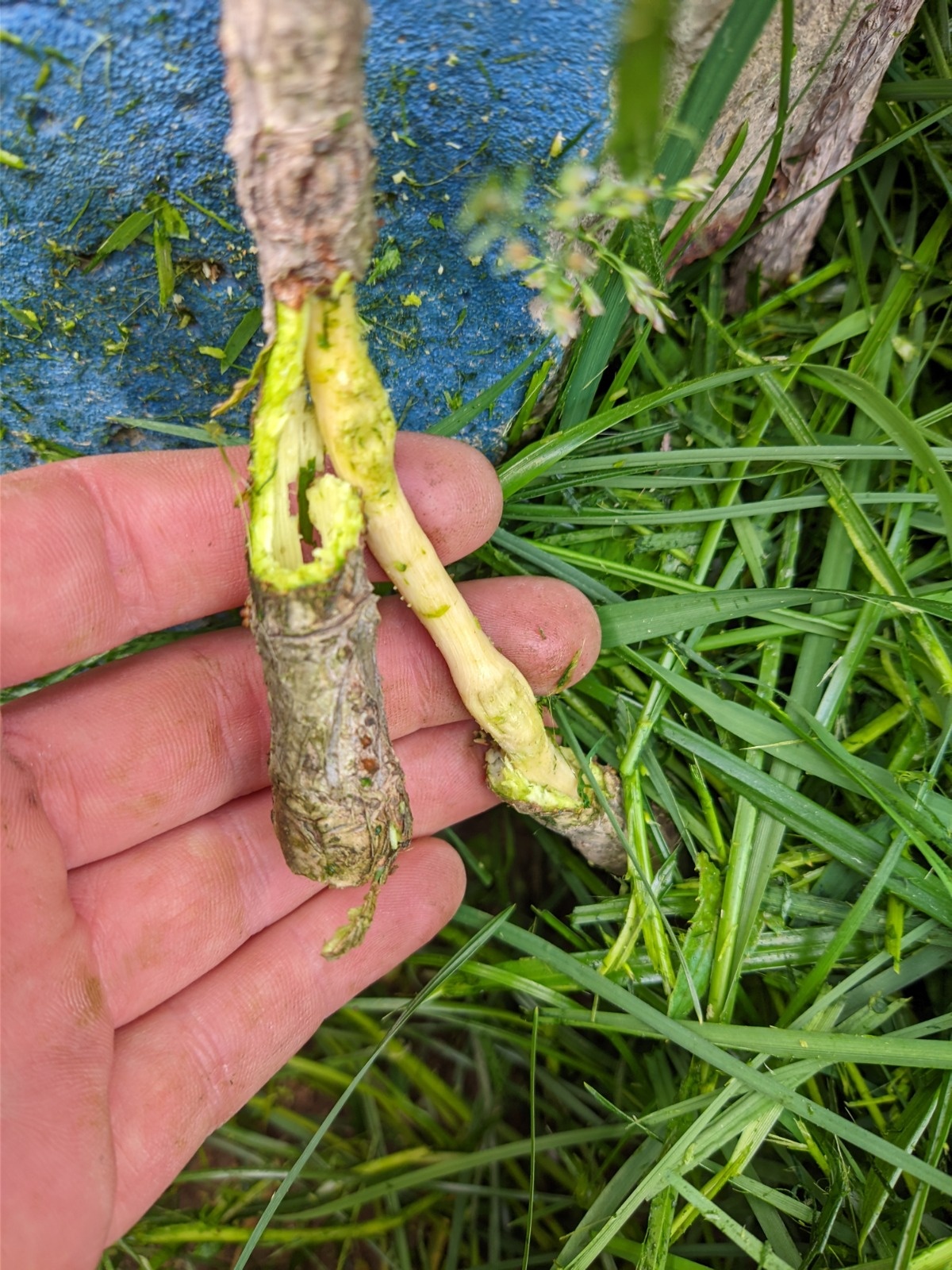 cc63a5fd-09e4-475a-9ee7-52bfdf38a9cb