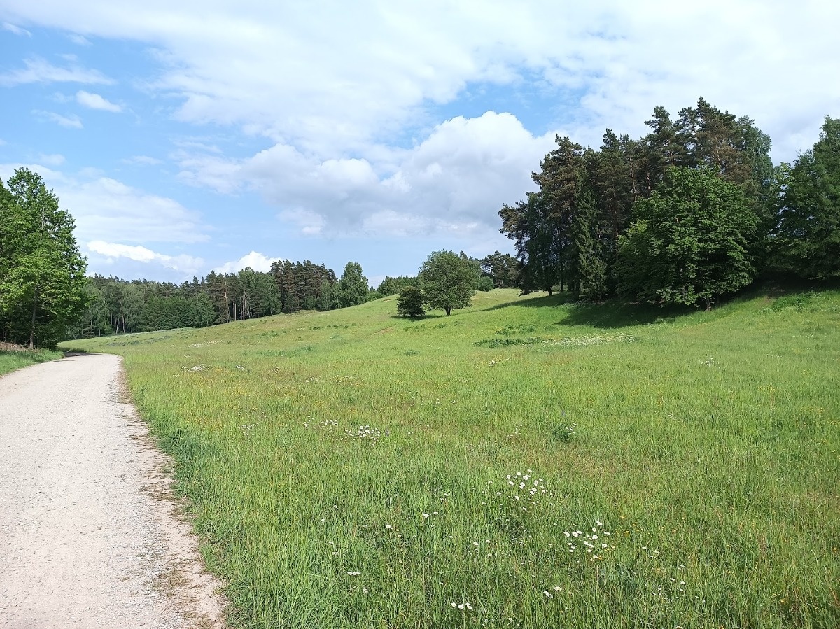 234ea7ac-fb69-4502-88eb-e0d5fcaad18e