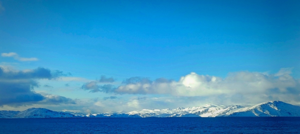 1d282844-a2af-4175-9951-d99babd8e013