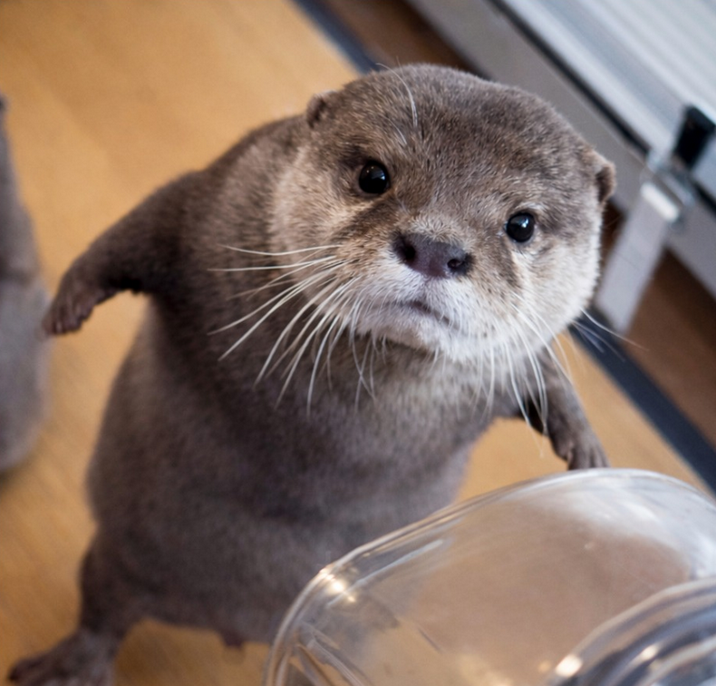 d7b2f6ae-23af-4ccd-8f3a-67cfd84bbe3e