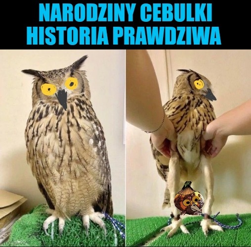 d21aa56a-e597-424b-9afa-823c427c5aee