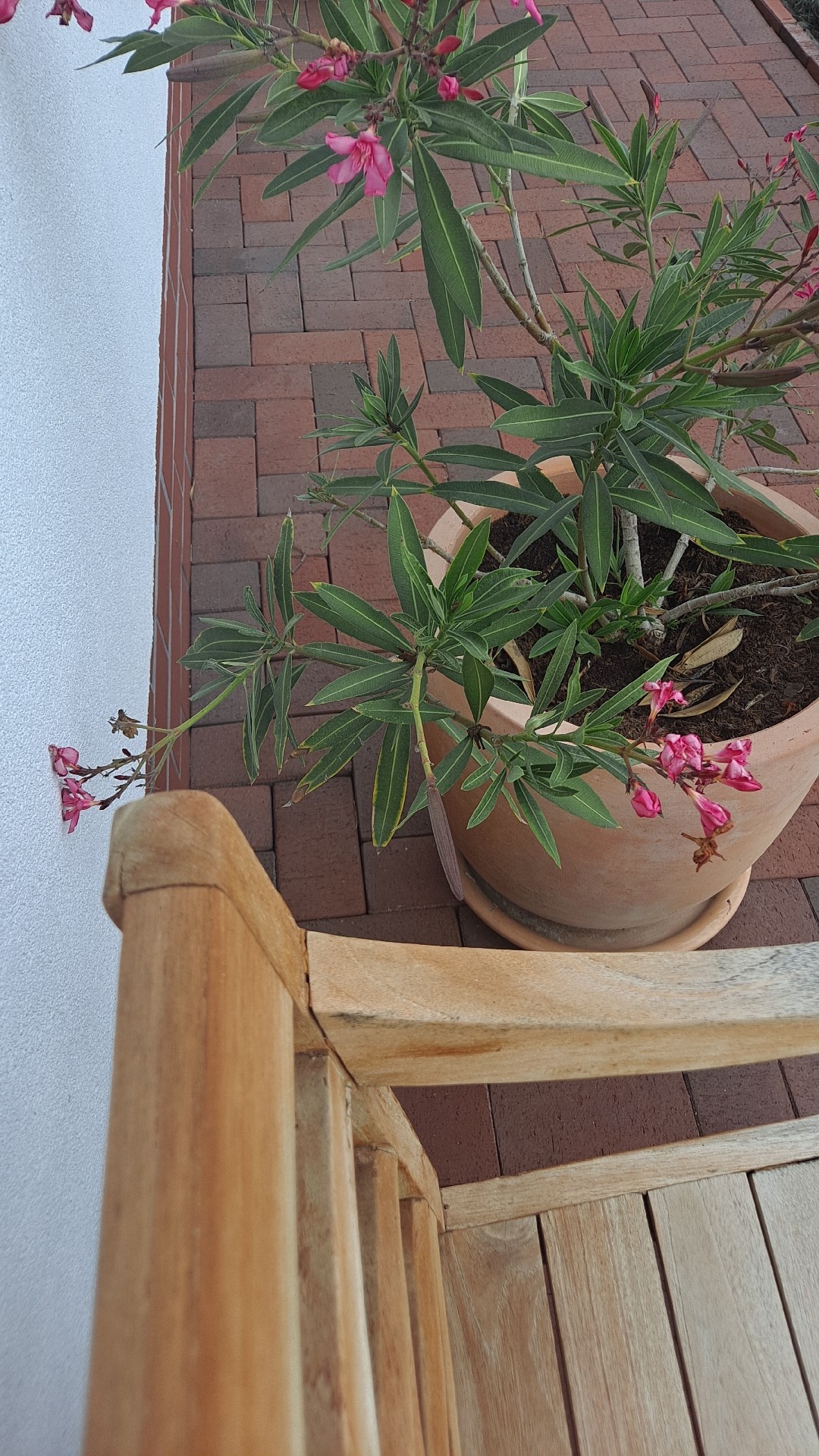 d67cfd8a-81cc-4637-8f5f-9ebae8cb9990