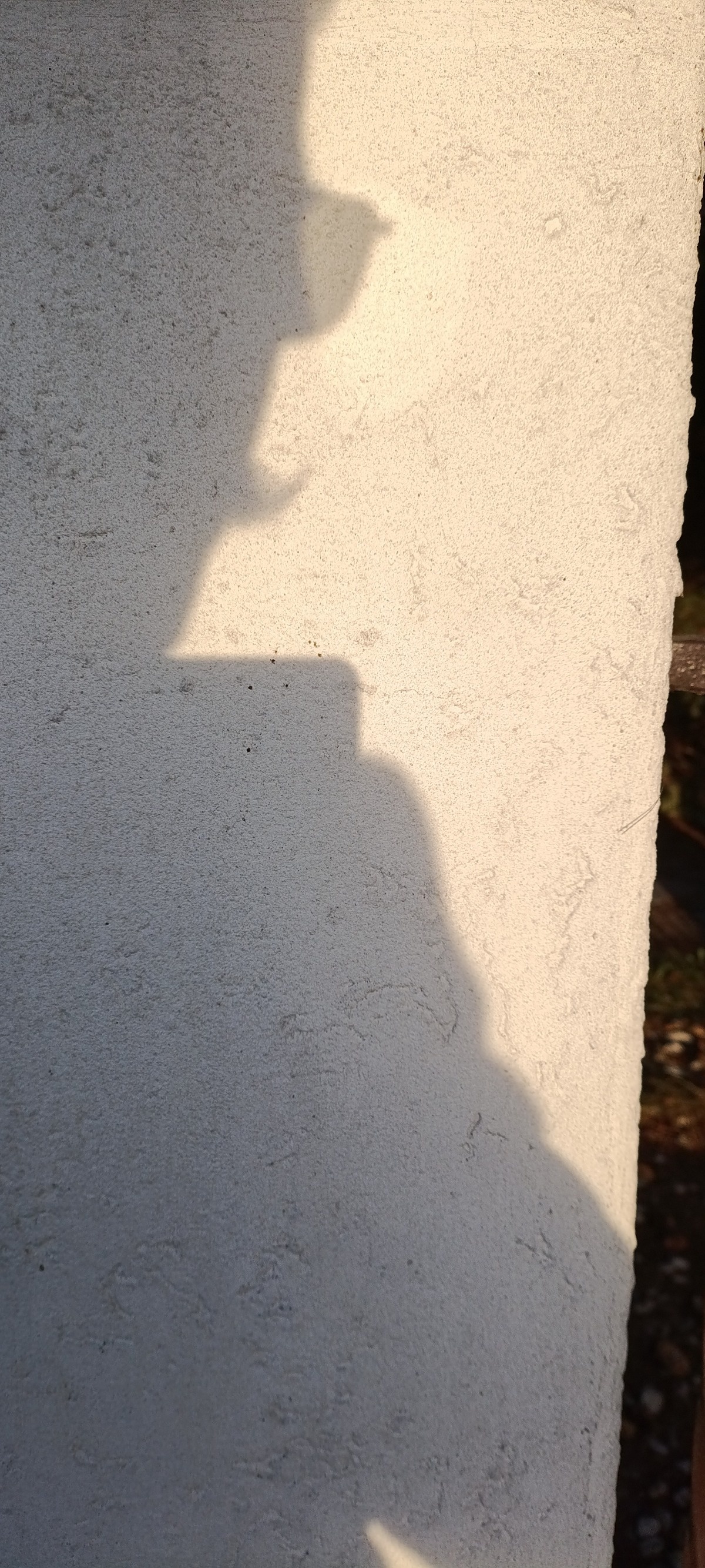 ac0ec632-410f-4da4-90d7-e37aabfe80d0