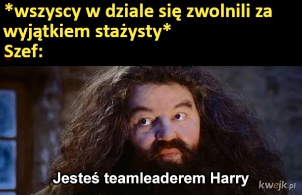 28d8c6c9-e46c-4b2a-87f0-f5e82d8c2ad9