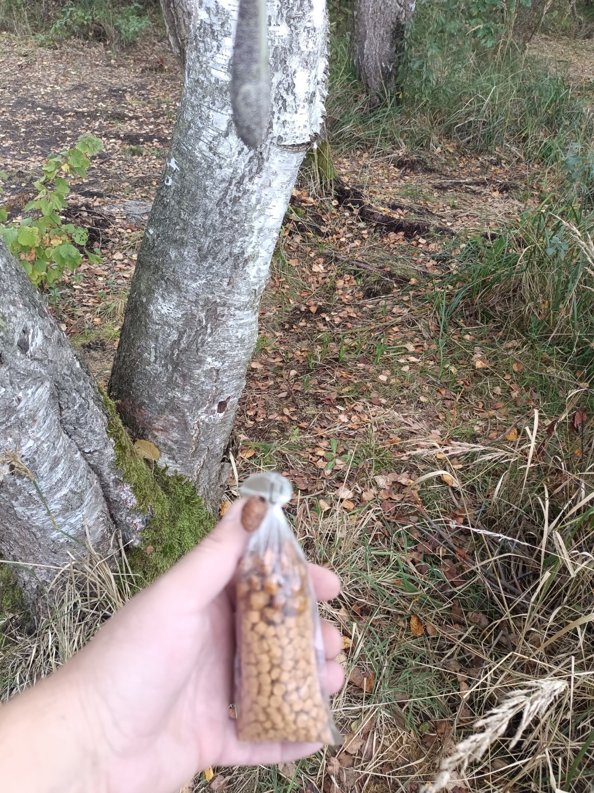 26ce369b-24f3-4c5a-a666-7e2aa11d24ad