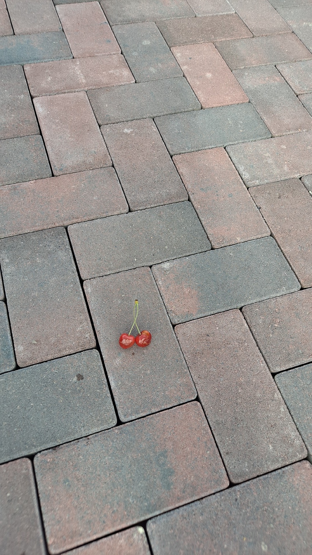 c8216a4a-68b3-4362-a3e0-535d5d31b70b