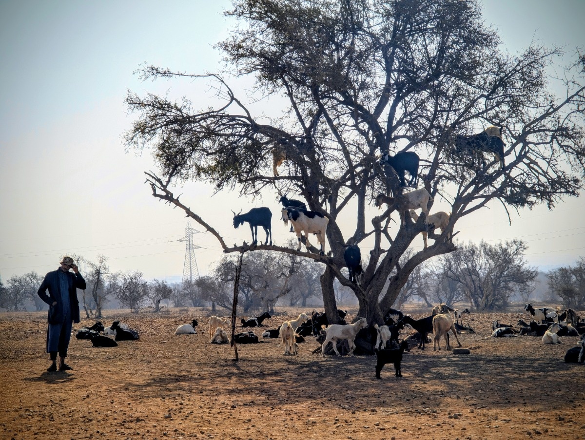 21acaf45-a3b6-4189-891d-d796cbef2fad