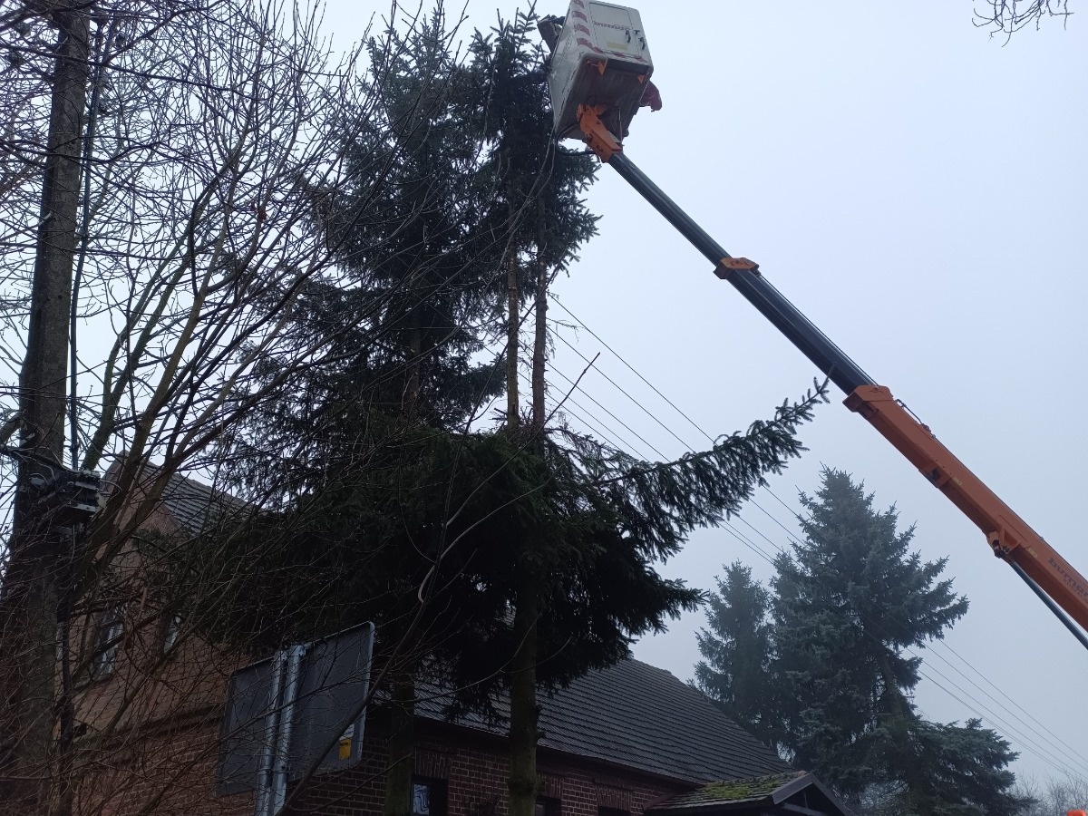 27430c0a-95ec-4a75-a7d3-acb17fe7bcbb