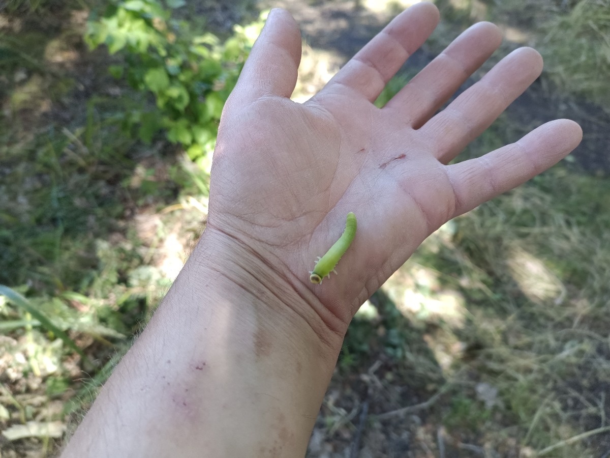 7a099a2b-f08a-445a-8140-f0092a8254cc