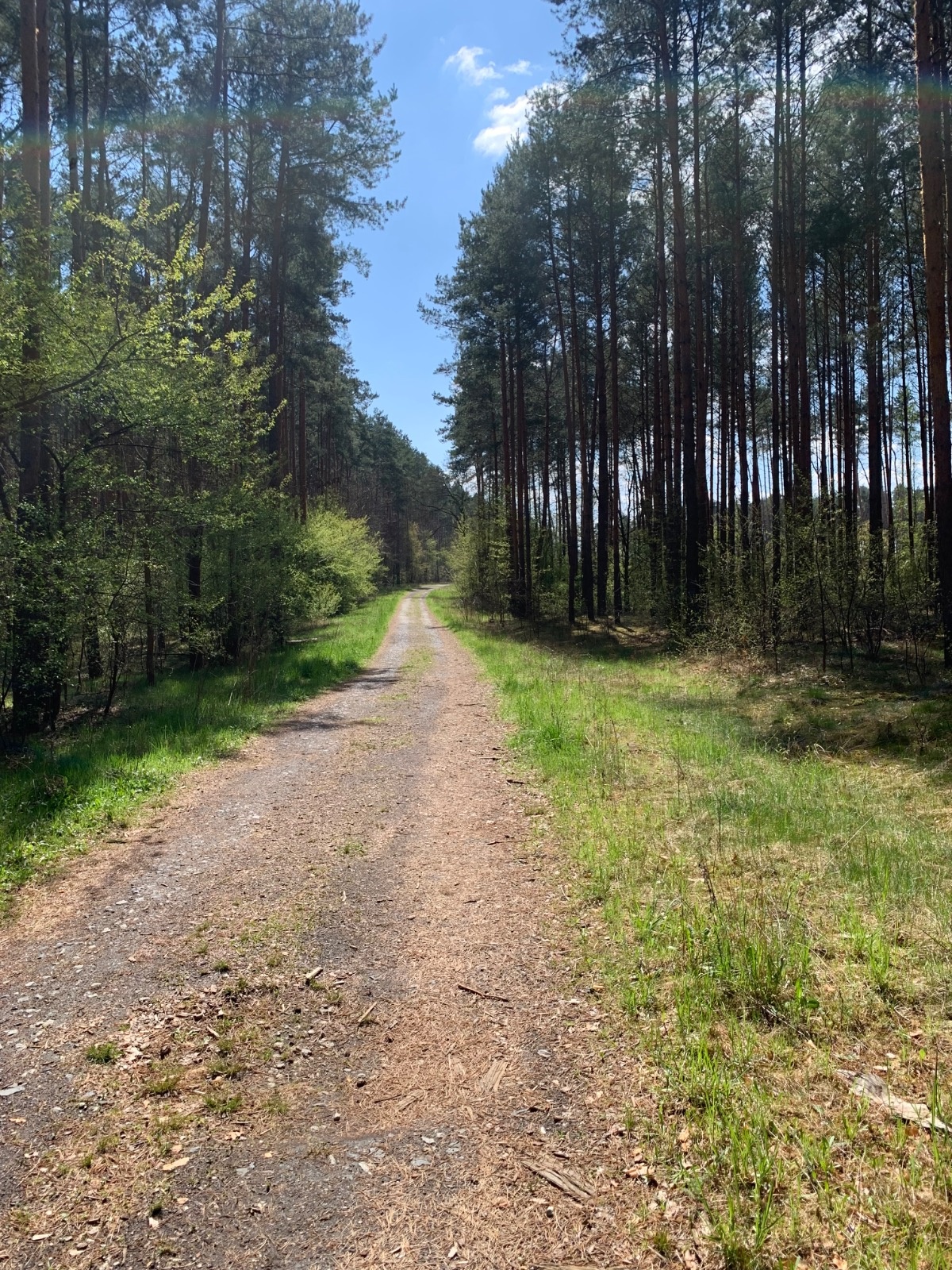 f6e3f96f-fa38-4787-b21c-7f9667a09d13