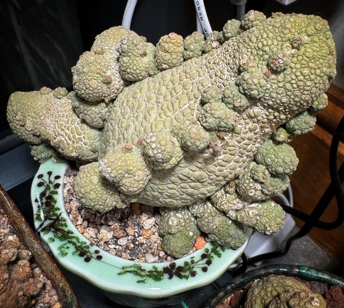 d07efc9d-1d8e-459f-9379-cc8f6e0d3aaf