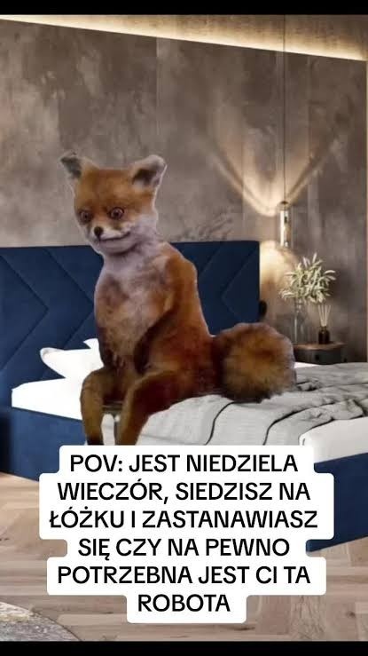 8b5a3523-3c88-4fd1-89c5-04d3a68a095f