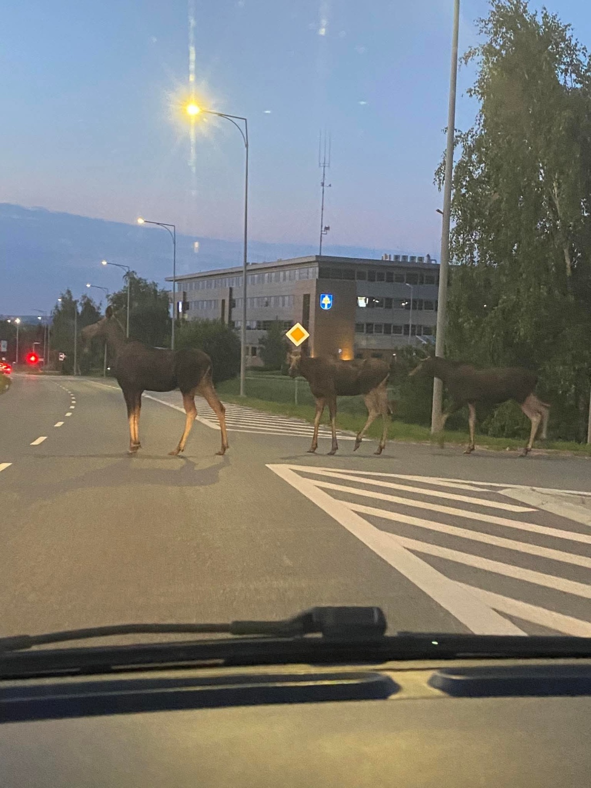 9c0c3713-7a06-40f2-9d89-9974c2bc70eb