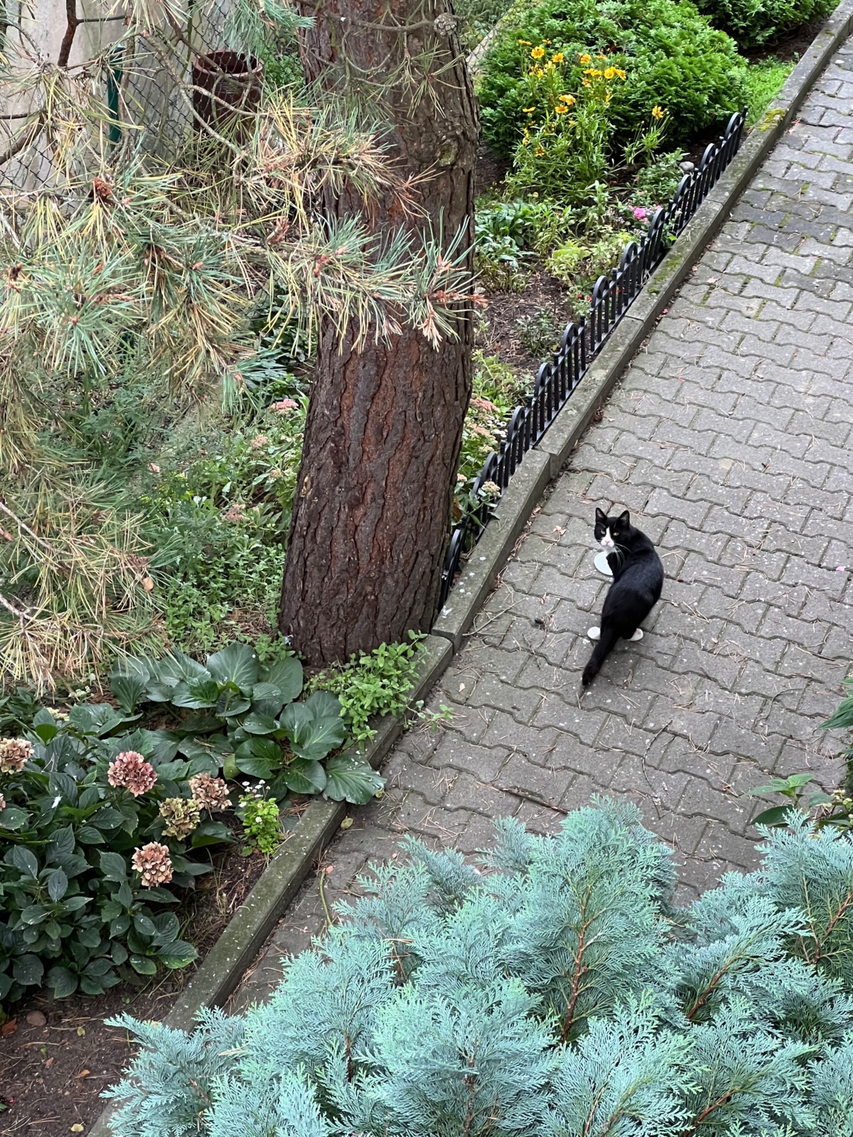 67e9d32c-cac0-41ec-ac95-5b95e77bdf3e