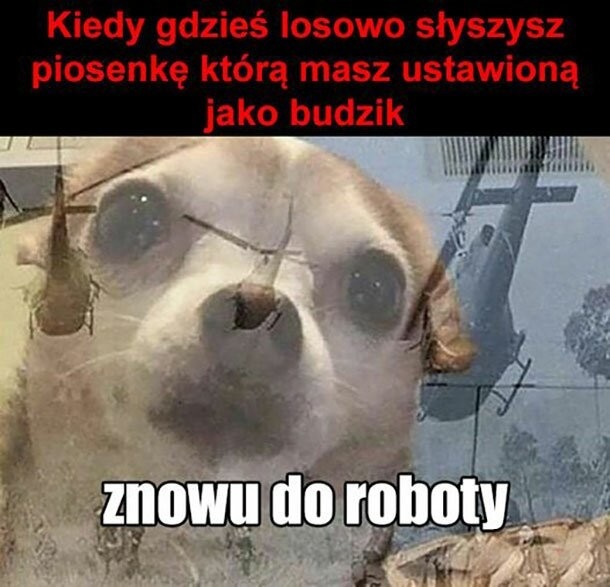 c1218073-c700-430d-a13f-b00a9619b20b