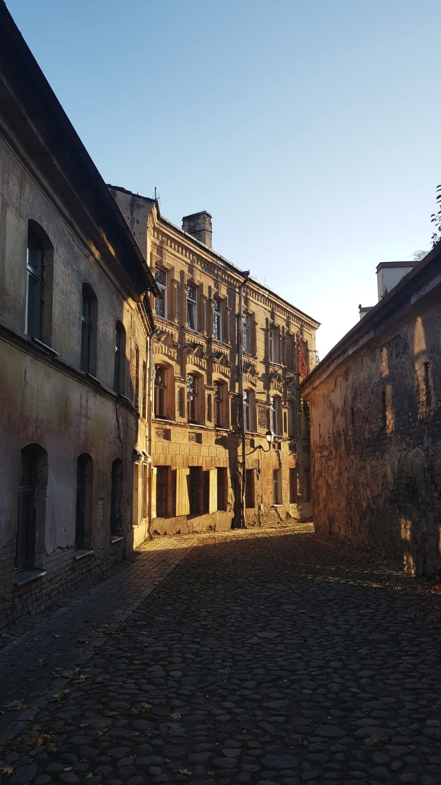 d1f8287a-77b3-49bf-987a-c04d81ecc264