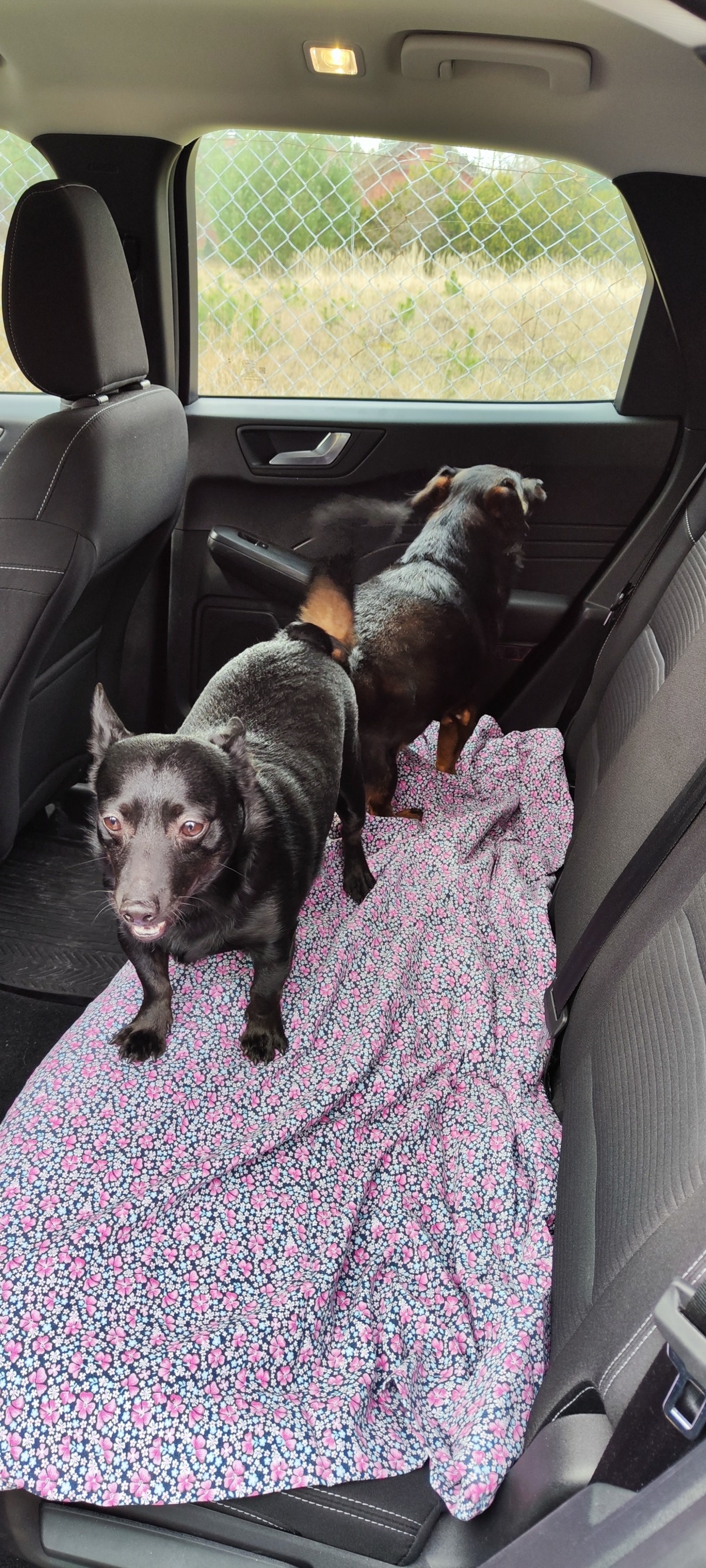 2c0ca2fa-4271-415d-8adc-b827294ceef0