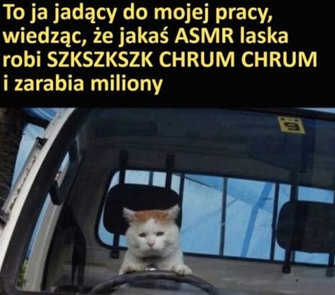 c49dbbc4-004c-425f-b71b-0de6bb3919aa