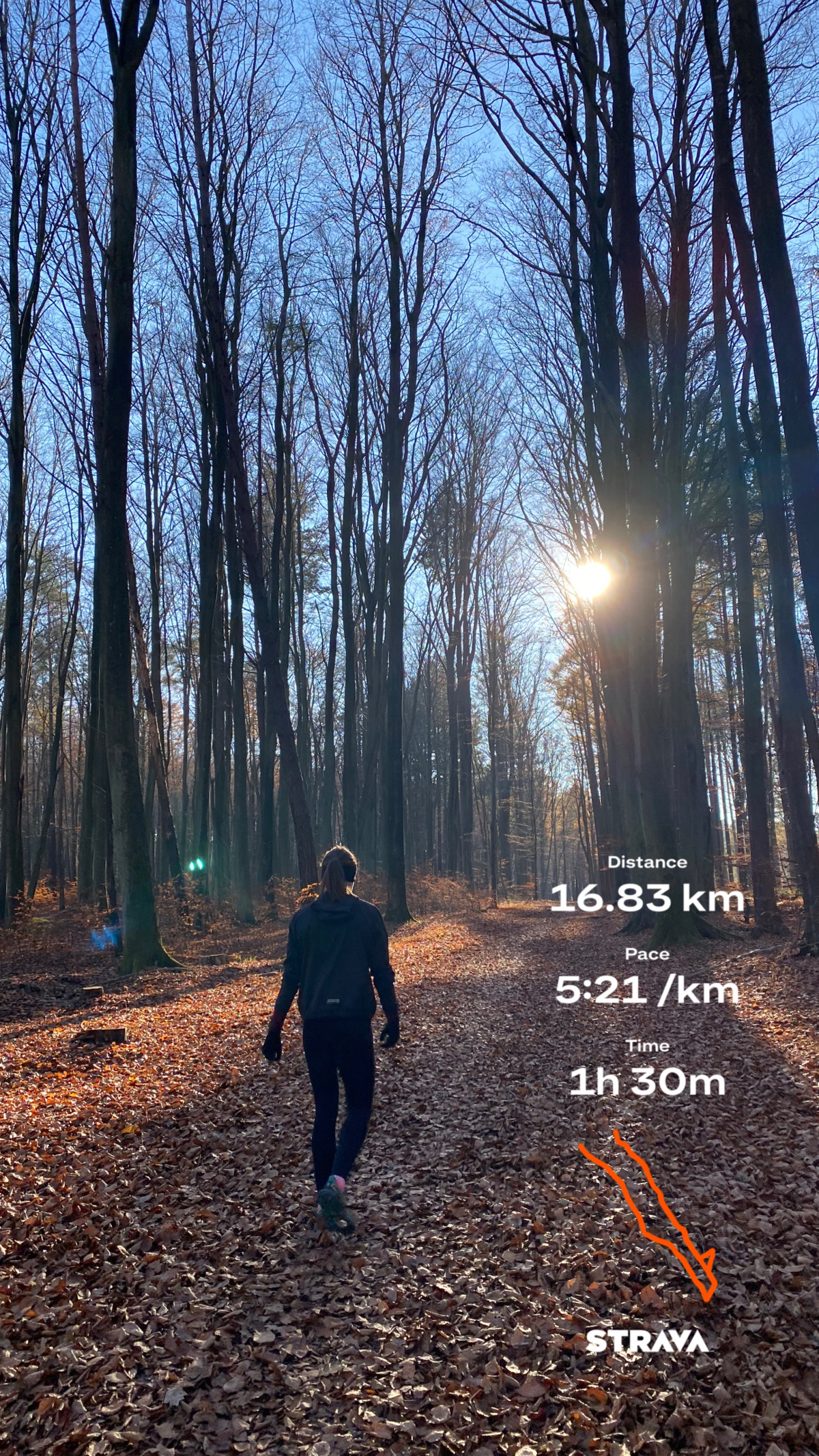 4a2404f9-d680-4462-bae6-d863ed8b9a15