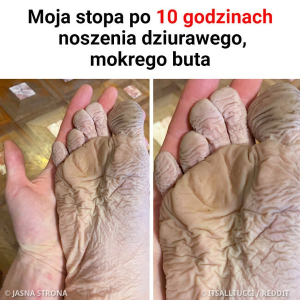 91811629-7ece-4f63-b83d-d352a6f55250