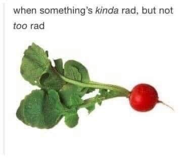 9eb543b7-1291-420d-9197-fc84b4eeb1e5