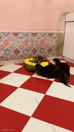 efd42a85-ac92-4db7-8ec4-ff2cc0077880