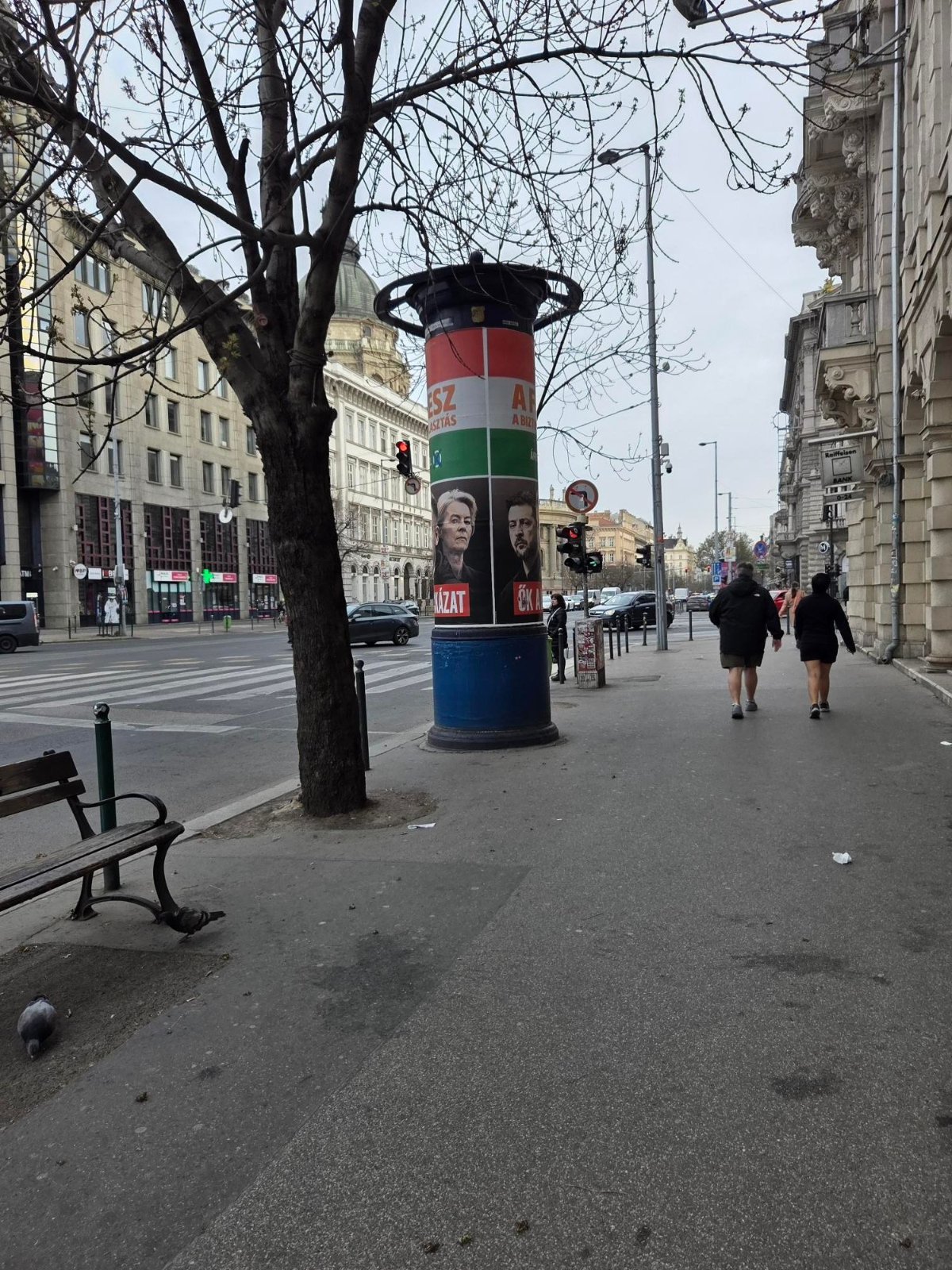 02e2890c-2c73-4e73-bf31-0a0a2084b78c