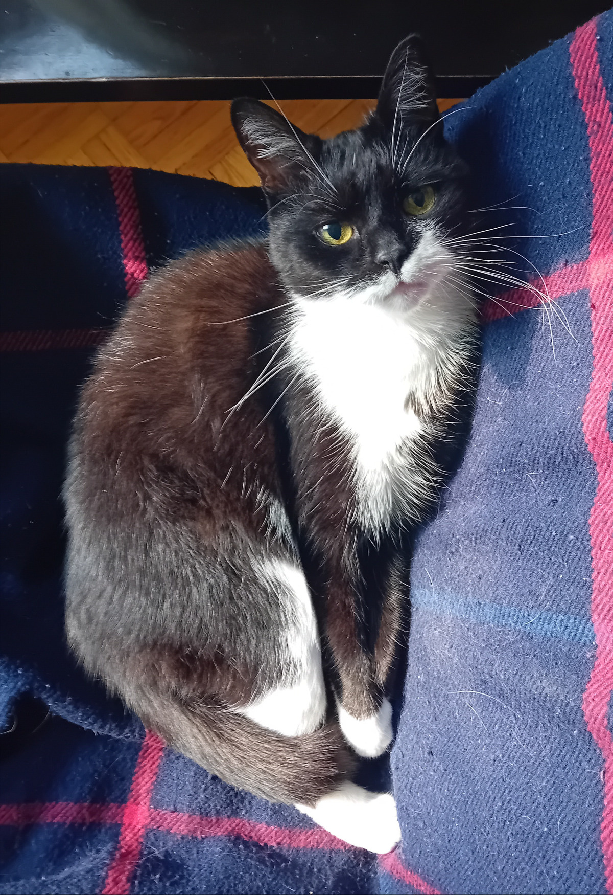 f2269e4d-7f23-4b98-9b1c-3308ea7c19f6