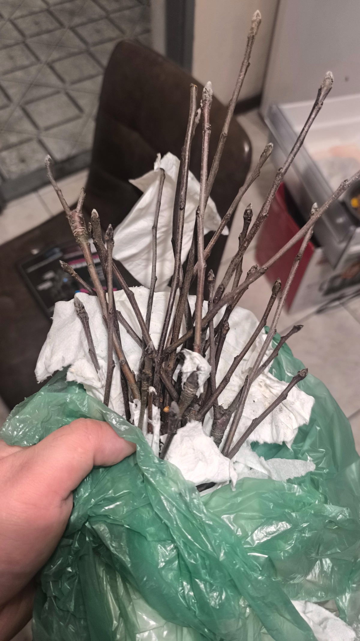 321f7abe-cd3f-48fc-8b8f-4c958e00d75f