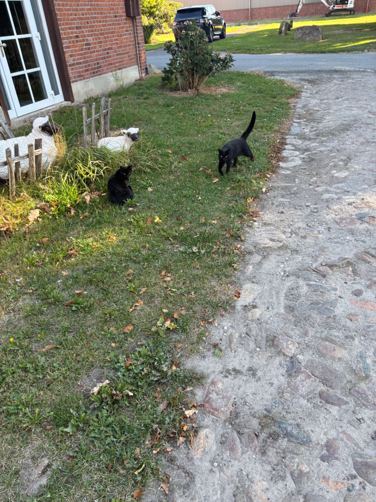 71f48274-18d3-41e0-b7f2-dd1b79a7f518