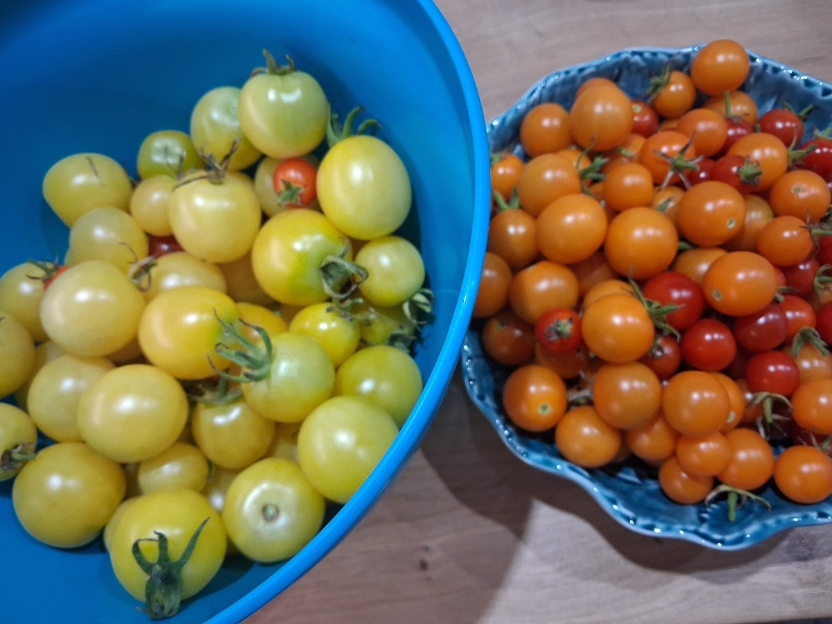 739700b2-0e02-406e-85be-795295617ddd