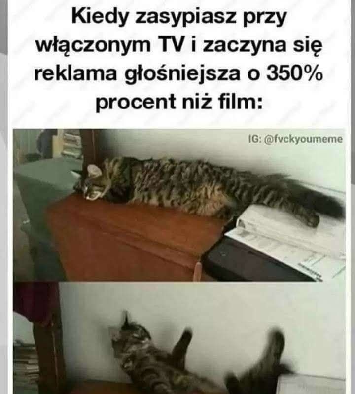 b17e79cd-d985-4bb9-b4e8-bfbbd28c3ea6