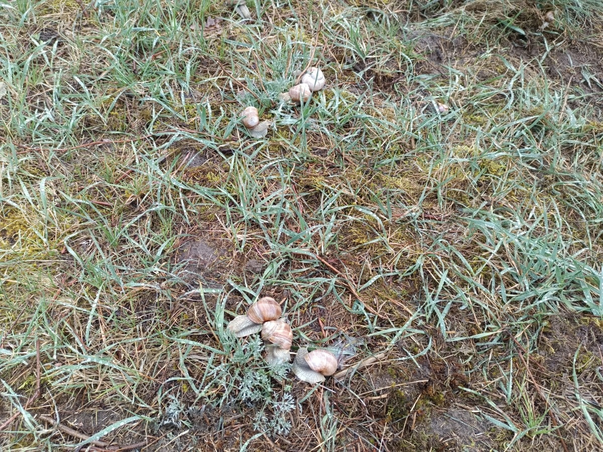 5a244a82-a4d1-4ee2-9e30-d1848e008735