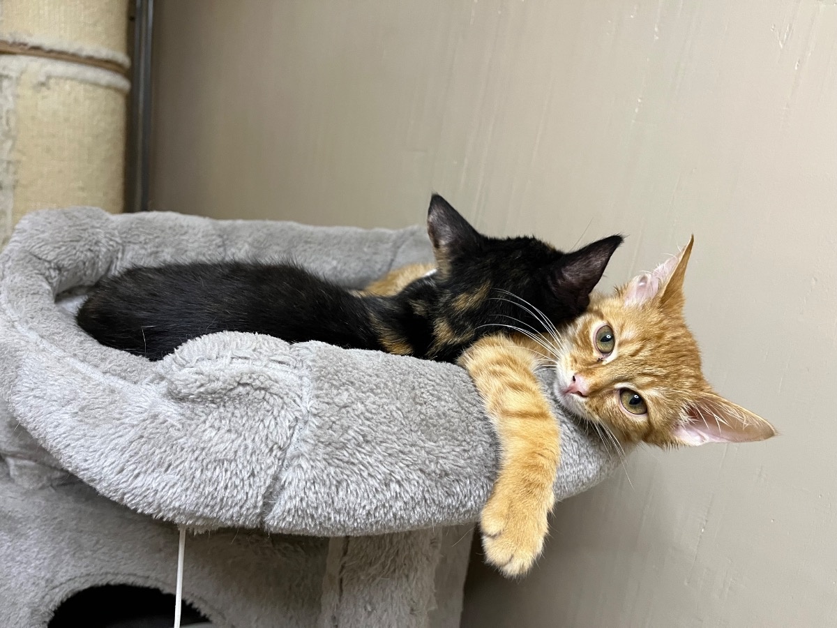 275eb2b9-e004-4983-949d-1384d04d360e