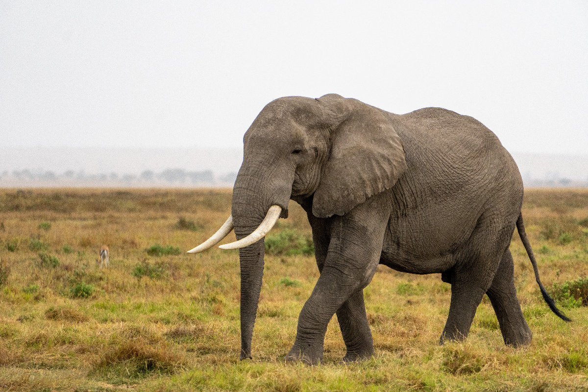 e24244a7-448a-4fb4-9566-1d98a353cc1a