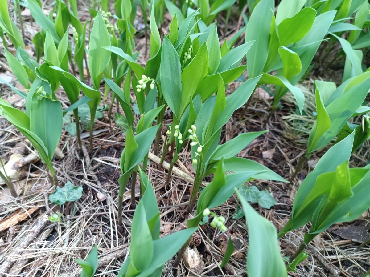 a9526477-f6fa-46a5-8d7c-c4baae6d0020