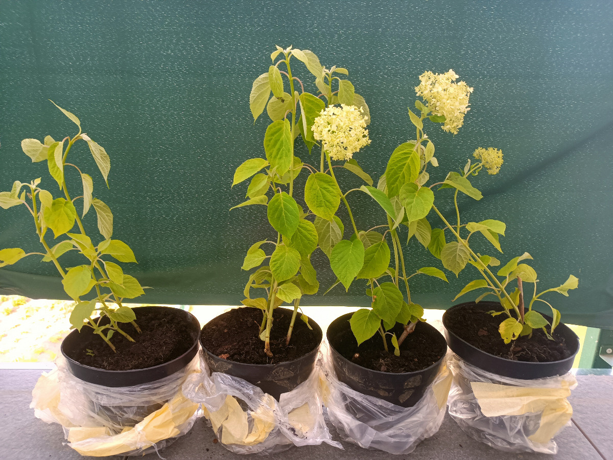 ea721c0b-e16d-454f-a212-edc5cd311b34