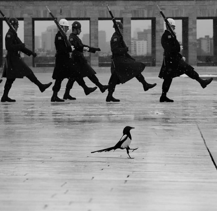 33af5396-d224-44e5-a24d-4acebceac86a