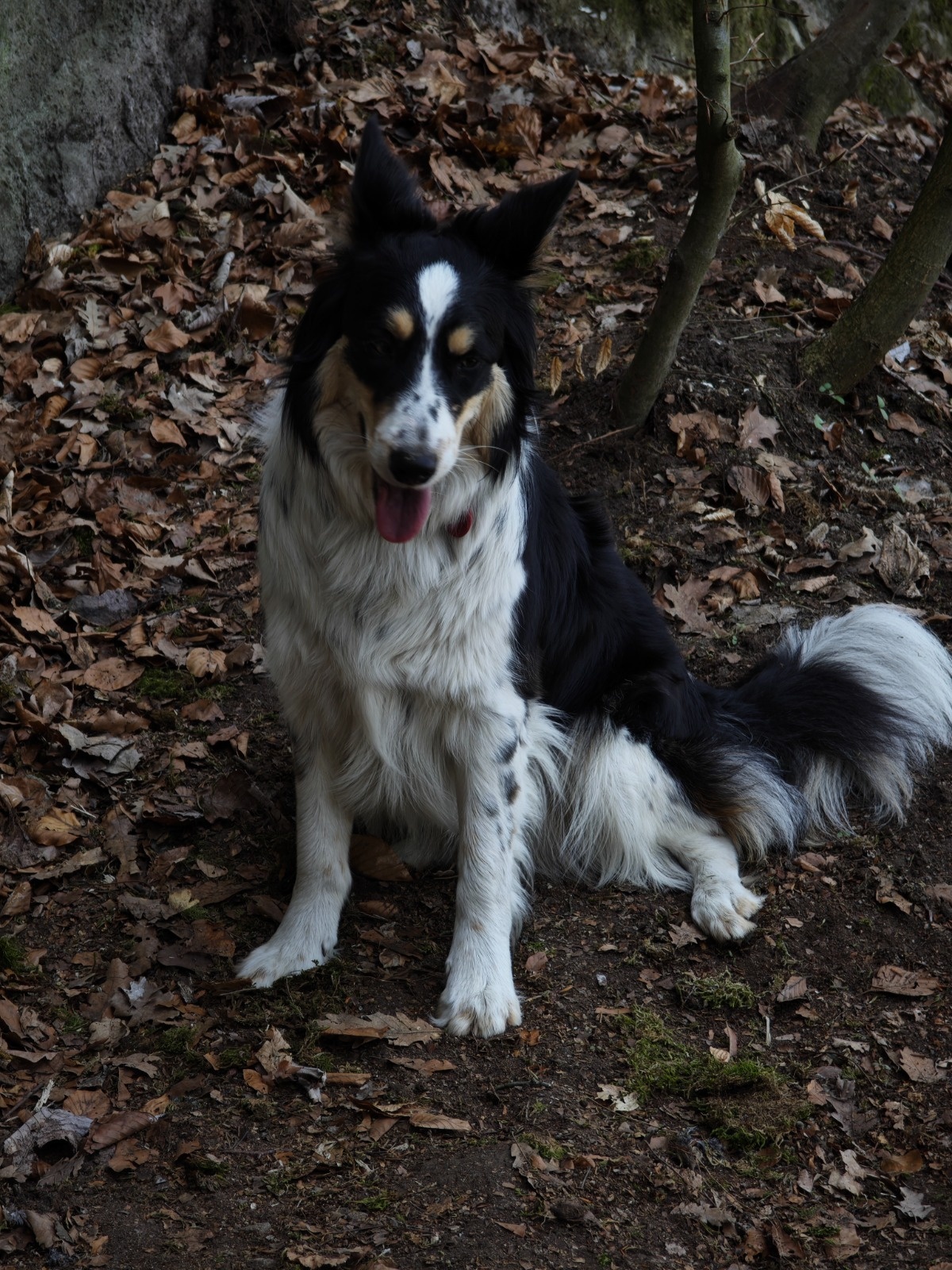 bc94837b-1b91-478e-80fd-d8f7ba232e37