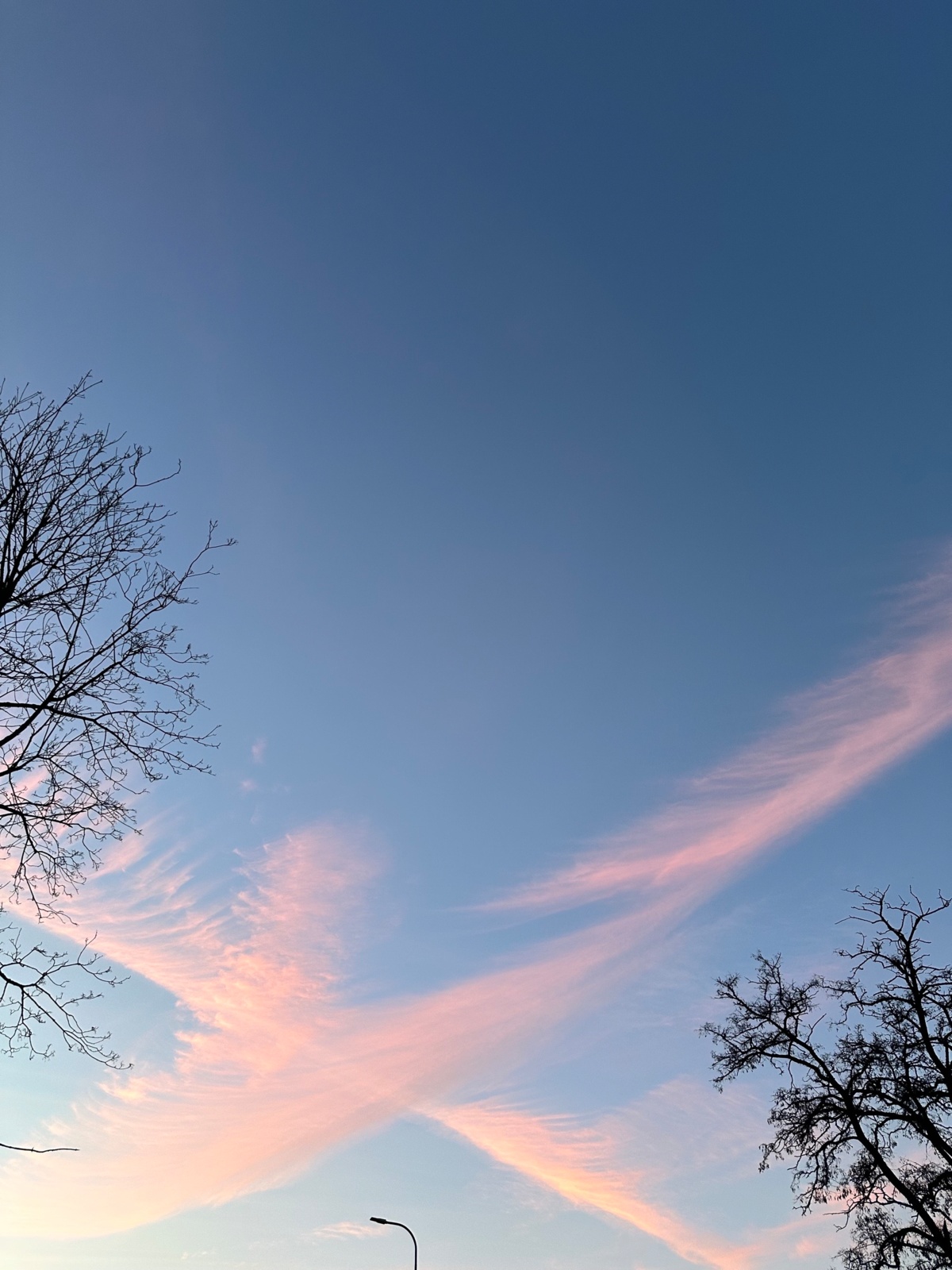 025588a2-0d79-47b4-8c9b-e0e810320f1a