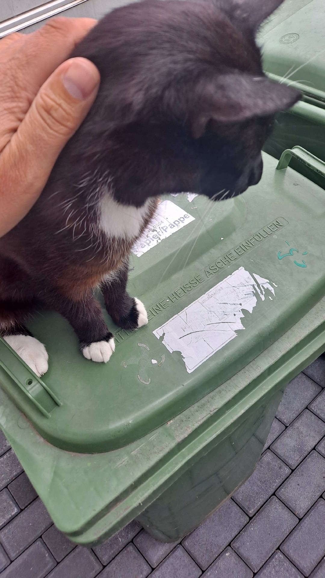 bb9721d7-5035-4373-9ef3-c137ec5a7d17