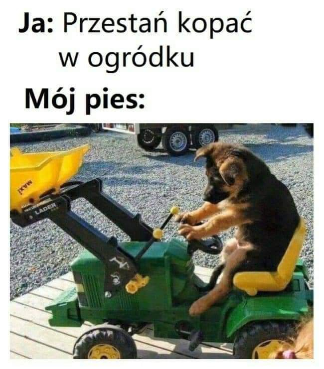 1a994ef7-0936-4797-80a9-9962d8341ee6