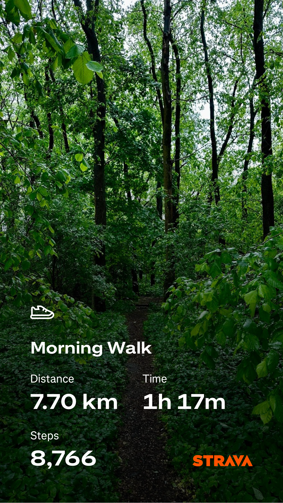 164a7729-282a-4683-9ab1-89768de3146a