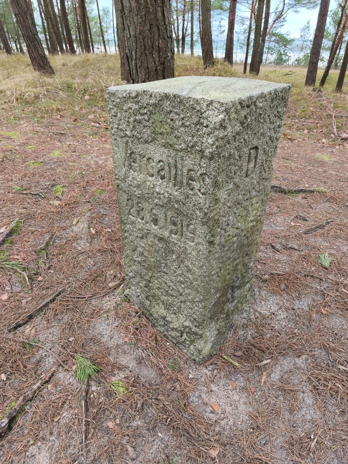 20f64967-42cd-49ea-8f3f-a0f3244f47f5