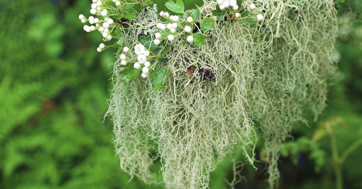 ad2f16e7-3cc3-4753-8c10-638a02004695