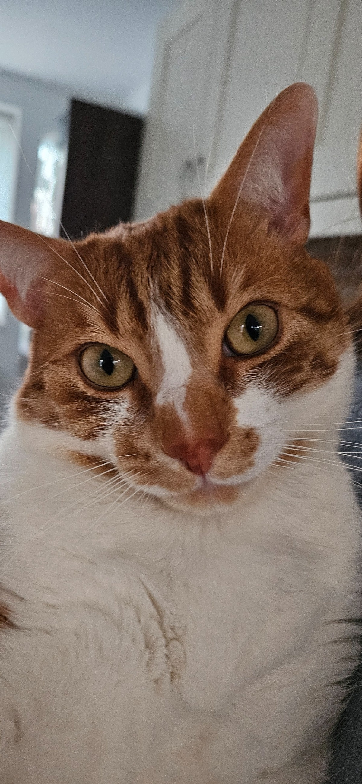 3e5078e4-286b-41a9-ba34-4f5aff26484a