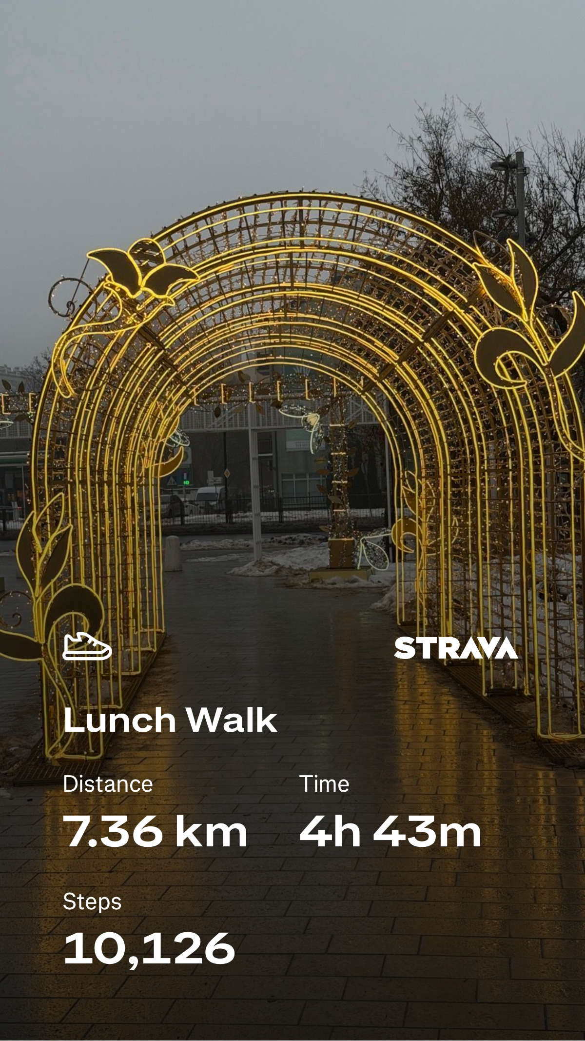 fdad9f65-be81-4dbf-b6e0-001da5f57af8