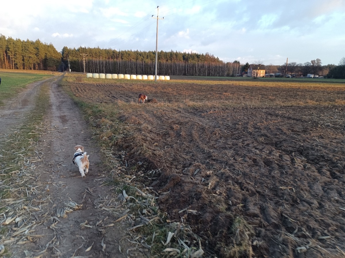 65d0282e-dea9-457e-b6a1-3f24c2e2938b